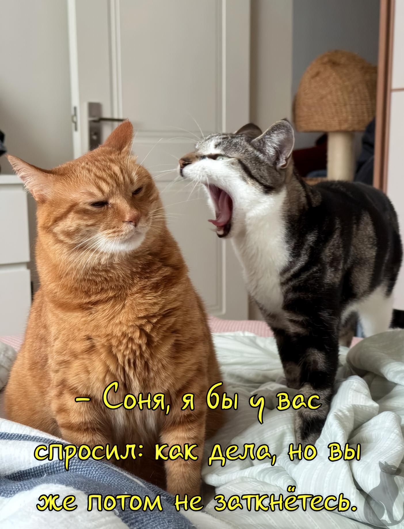 - Соня, я бы ч вас спросил: как дела, но вы же потом не заткнетесь.