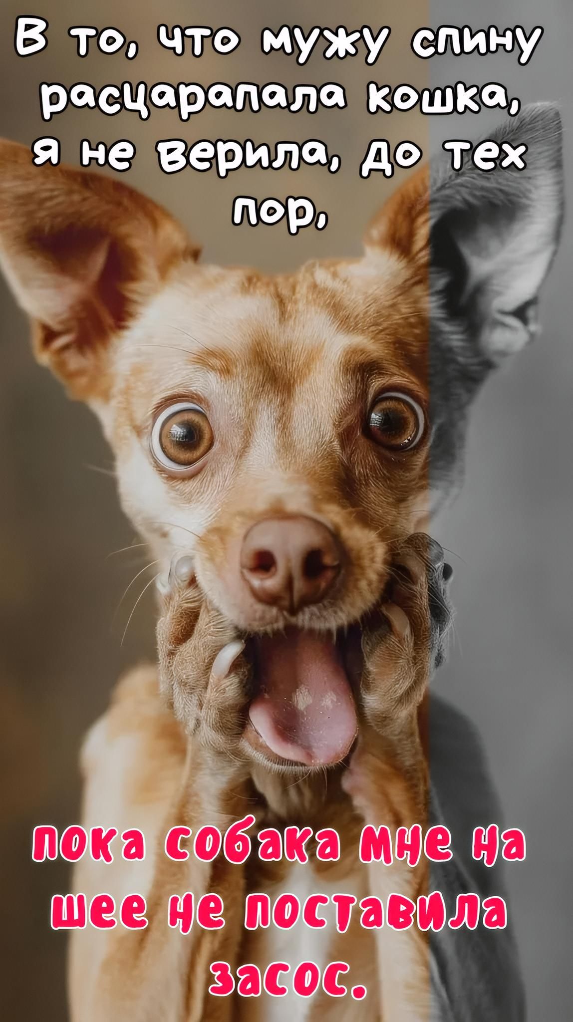 В то, что мужу спину расцарапала кошка, я не верила, до тех пор, пока собака мне на шее не поставила засос.