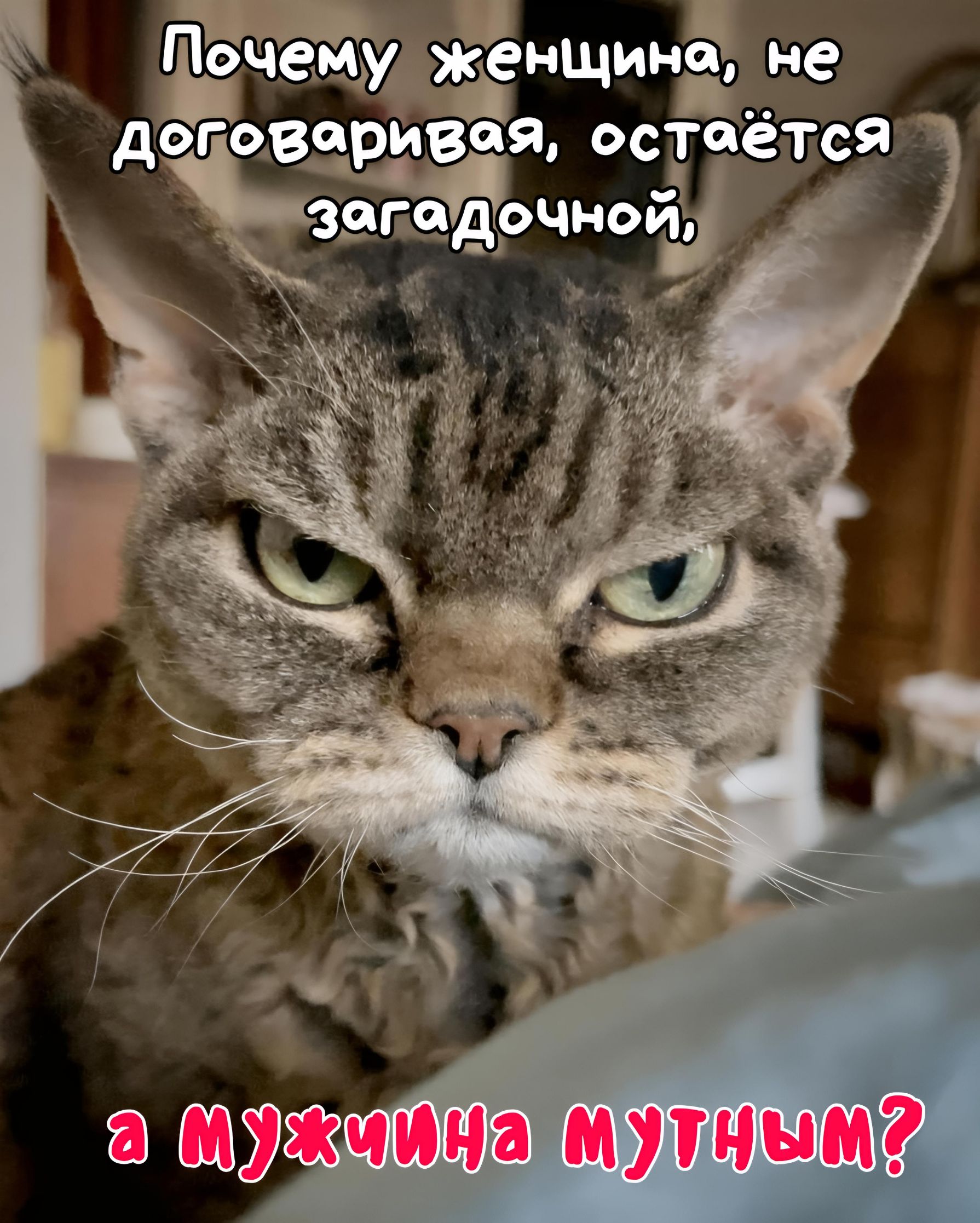 Почему женщина, не договаривая, остаётся загадочной, а мужчина мутным?