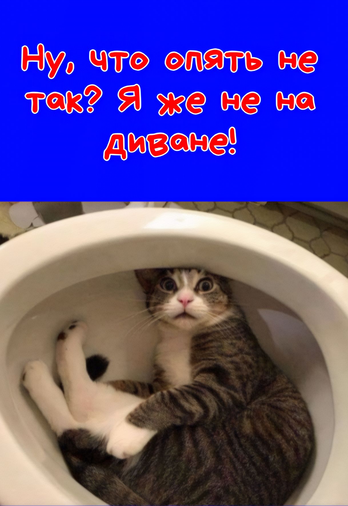 Ну, что опять не так? Я же не на Диване!