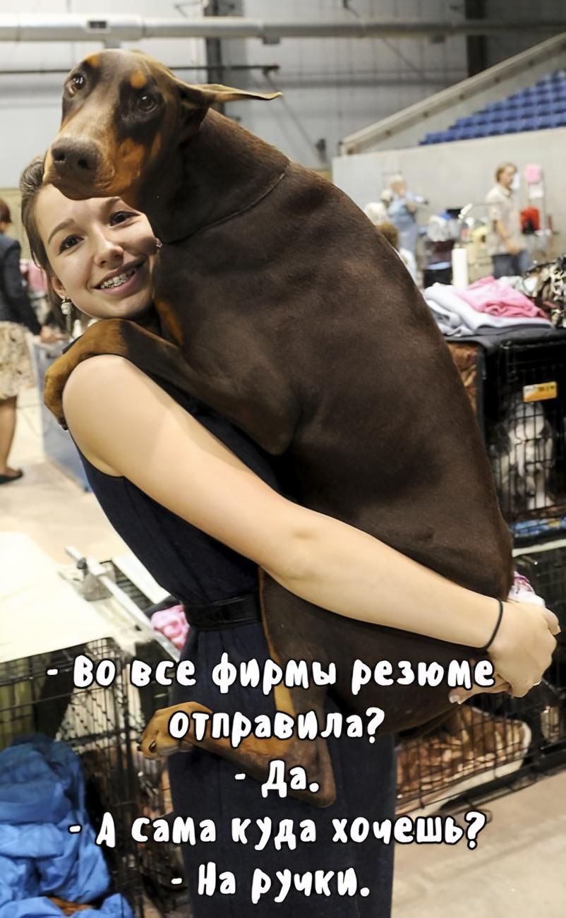 Во все фирмы резюме отправила? - Да. - А сама куда хочешь? - На ручки.