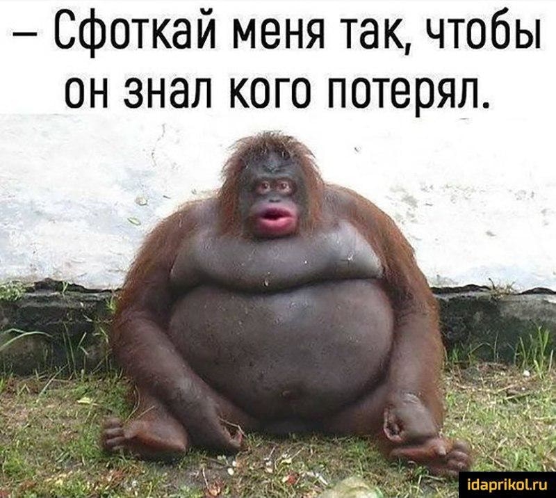 Сфоткай меня так чтобы он знал кого потерял