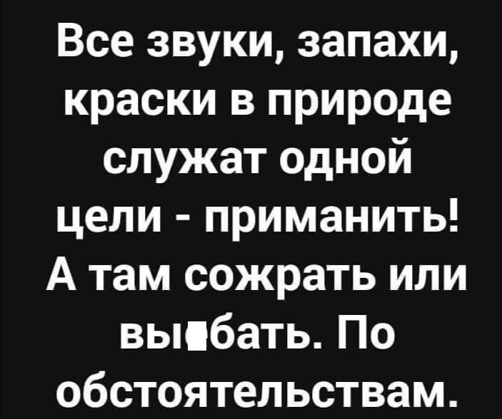 Все звуки запахи краски в природе служат одной цели приманить А там сожрать или вьшбать По обстоятельствам