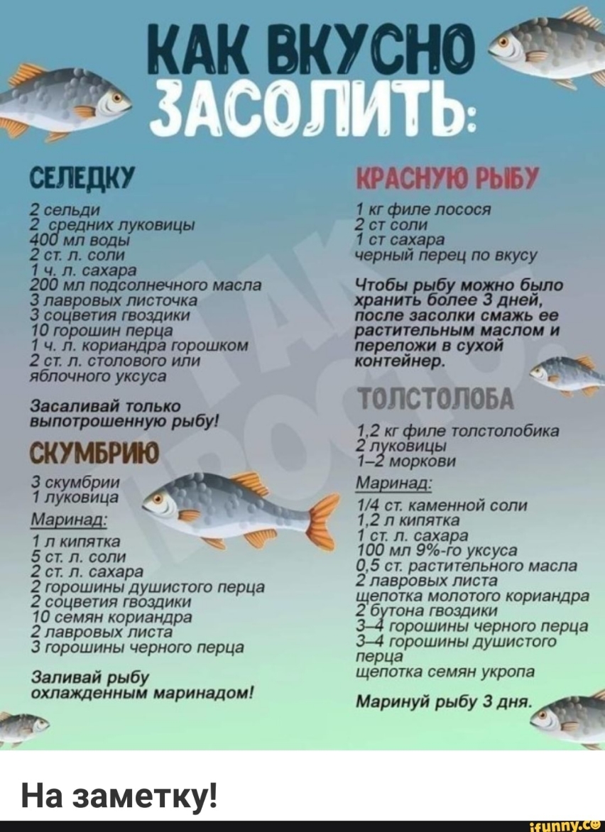 Ь 2 горошины душистого перца 2 соцветия гвоздики 10 семян кориандра 2 лавровых листа З горошины черного перца Заливай рыбу охлажденным маринадом т На заметку КАК ВКУСНО 7 ТОЛСТОЛОБА 77 2 фил толстолобика 23 1 2 моркови Маринад 14 ст каменной соли 12 л кипятка Тег л сахара 100 мл 9 го уксуса 05 ст растительного масла 2 лавровых листа щепотка молотого кориандра Збутона гвоздики горошины черного перц