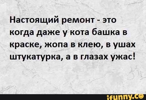 Настоящий ремонт это когда даже у кота башка в краске жопа в клею в ушах штукатурка а в глазах ужас