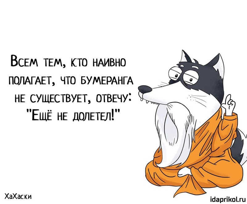 ВСЕМ ТЕМ кто НАИВНО ПОЛАГАЕТ что БУМЕРАНГА НЕ СУЩЕСТВУЕТ ОТВЕчу ЕЩЁ НЕ ШШЕТЕл ХаХаски ігіаргіКпЬги