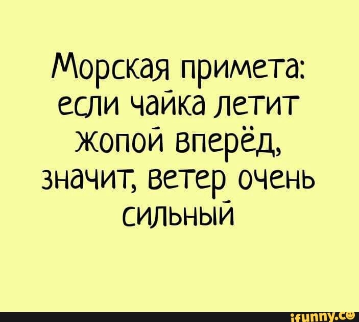 Морская примета если чаикд летит жопой вперёд значит ветер очень сильным ФЛШБйъ