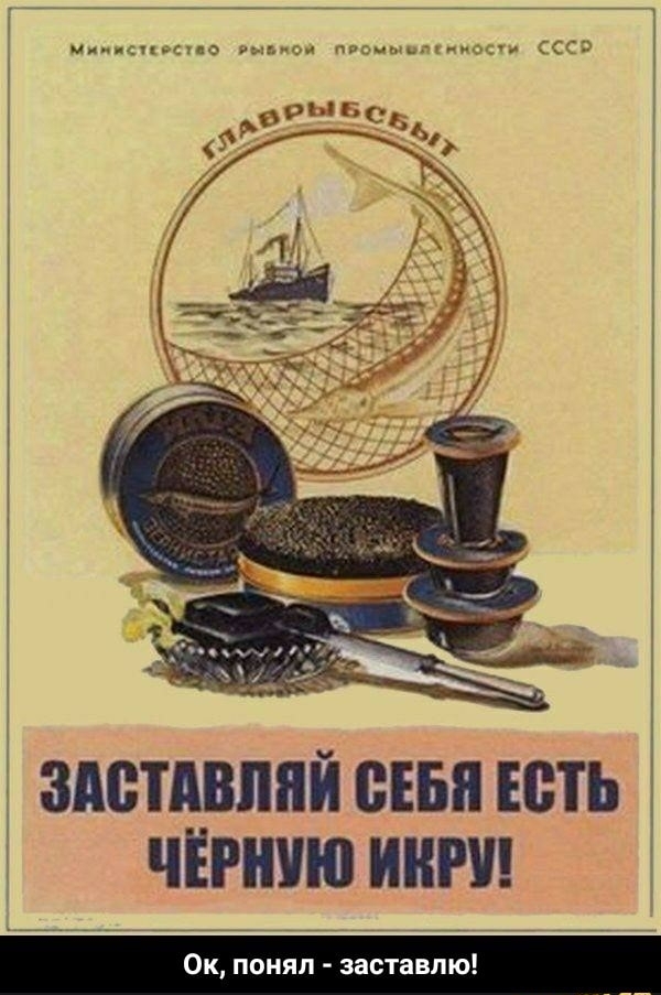 здетдвппй шп Есть Ё чЕгнчю ит НЯП заставп