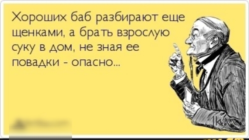 Хороших баб разбирают еще мантии брать вдвосдуло сукувдрмнезнмее _ повадки опыт