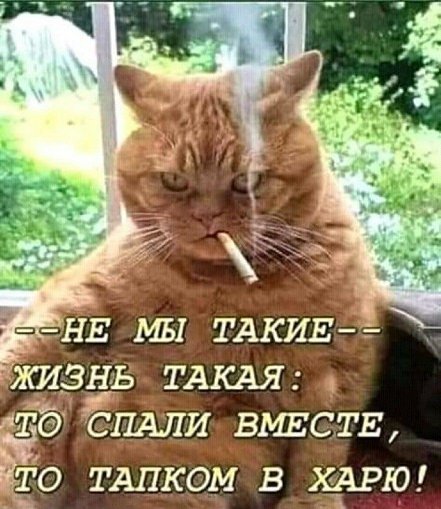 __5нь ТАКАЯ мтё даАли ВМЕСТЕ 140 ТАпком 3 25511910
