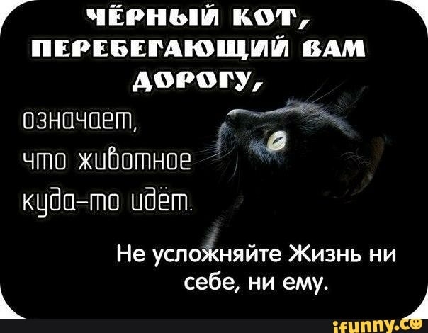 Г чёрный кот ппчэвпмощшй вдм дорогу означает что жцбптное кцбпто ибёгп Не успоійняйте Жизнь ни себе ни ему шппУ С