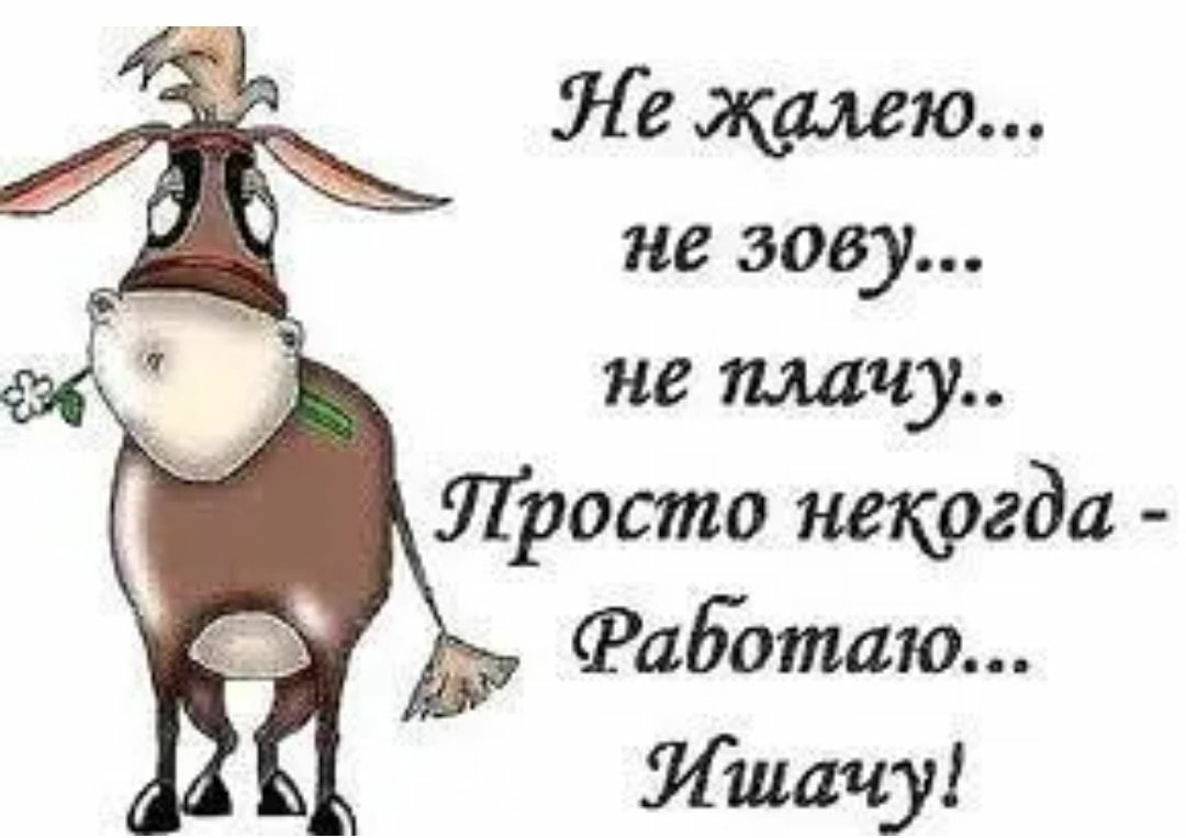 Ле жалею не зову не шагу Просто некргда Фаботаю Ишачу