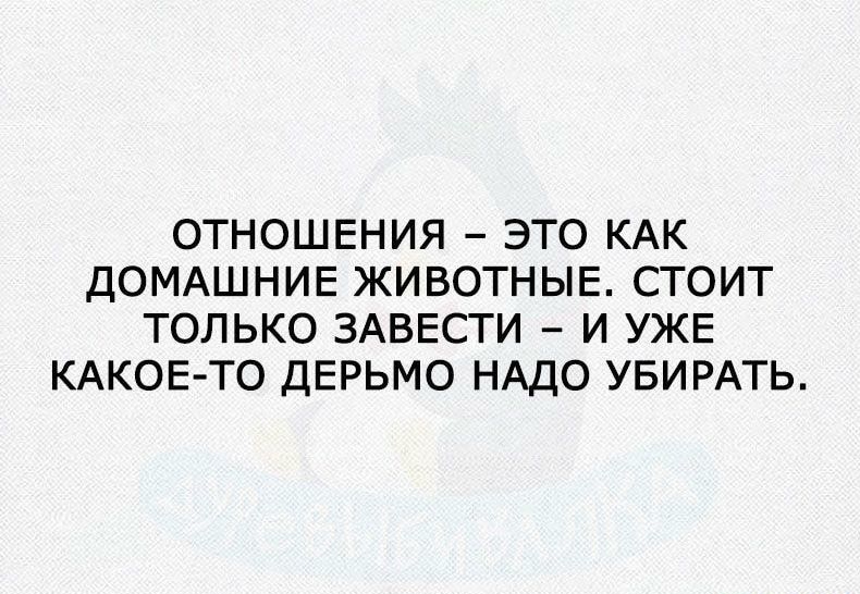 ОТНОШЕНИЯ ЭТО КАК ДОМАШНИЕ ЖИВОТНЫЕ СТОИТ ТОЛЬКО ЗАВЕСТИ И УЖЕ КАКОЕ ТО ДЕРЬМО НАДО УБИРАТЬ