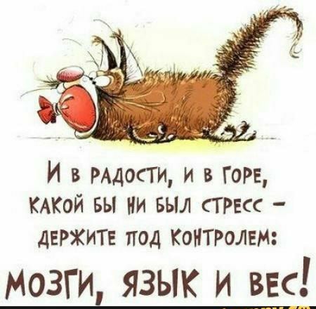 И в РАДосТИ и в горе КАКОЙ вы ни выл сТРЕсс дЕРЖИТЕ под Контролем мозги язык и ввс