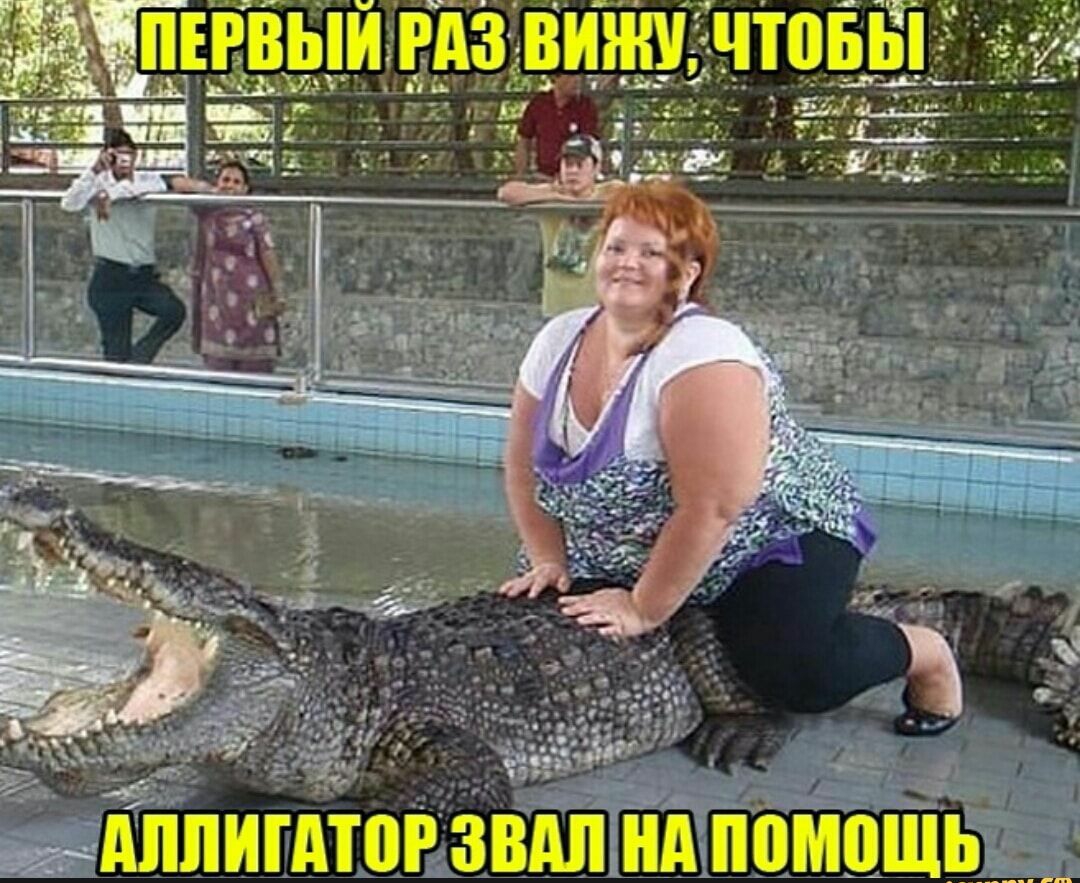 ч