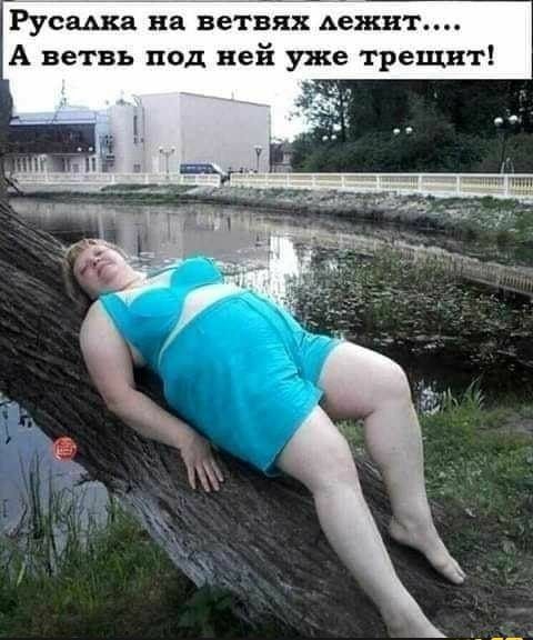 Русша на ветвях Авин гг А ветвь под ней уже трещит