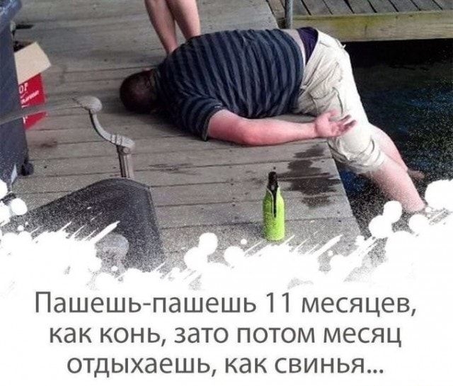 Пашешь пашешь 11 месяцев как конь зато потом месяц отдыхаешь как свинья