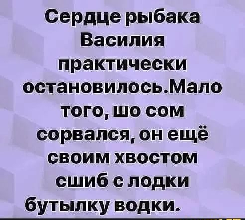 Сердце рыбака Василия практически остановилосьМало того шо сом сорвался он ещё своим хвостом сшиб с лодки бутылку водки