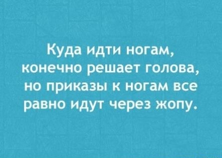 Куда идти ногам конечно решает голова но приказы к ногам все равно идут через жопу