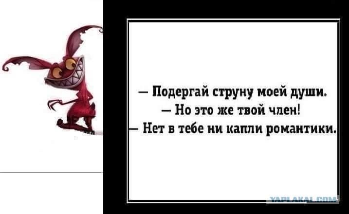 Подергай струну моей души Но это же твой член Нет в тебе ни капли романтики