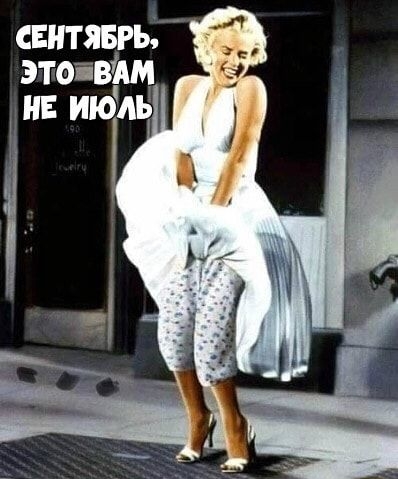 свнтявгь это вт