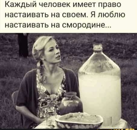 Каждый человек имеет право настаивать на своем Я люблю настаивать на СМОРОДИНе