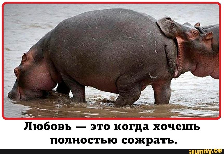 Любовь это когда хочешь полностью сожрать