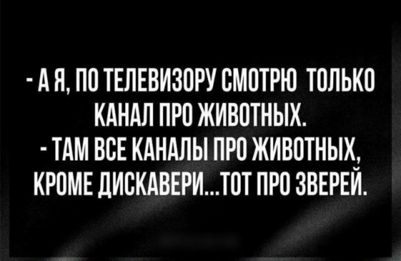 А Я по ТЕЛЕВИЗПРУ СМПТРЮ ТПЛЬКП КАНАЛ ПРО ЖИВОТНЫХ ТАМ ВСЕ КАНАЛЫ ПРО ЖИВОТНЬХ_ КРОМЕ ЦИСКАВЕРИТ0Т ПРО ЗВЕРЕИ