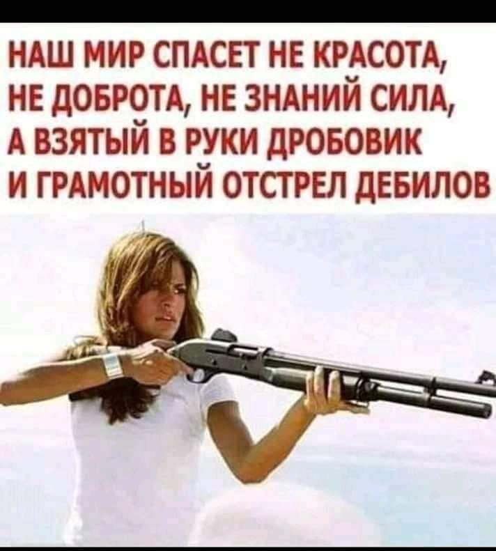 _ НАШ МИР СПАСЕТ НЕ КРАСОТА НЕ ДОБРОТА НЕ ЗНАНИЙ СИЛА А ВЗЯТЫЙ В РУКИ ДРОБОВИК И ГРАМОТНЫЙ ОТСТРЕЛ ДЕБИЛОВ