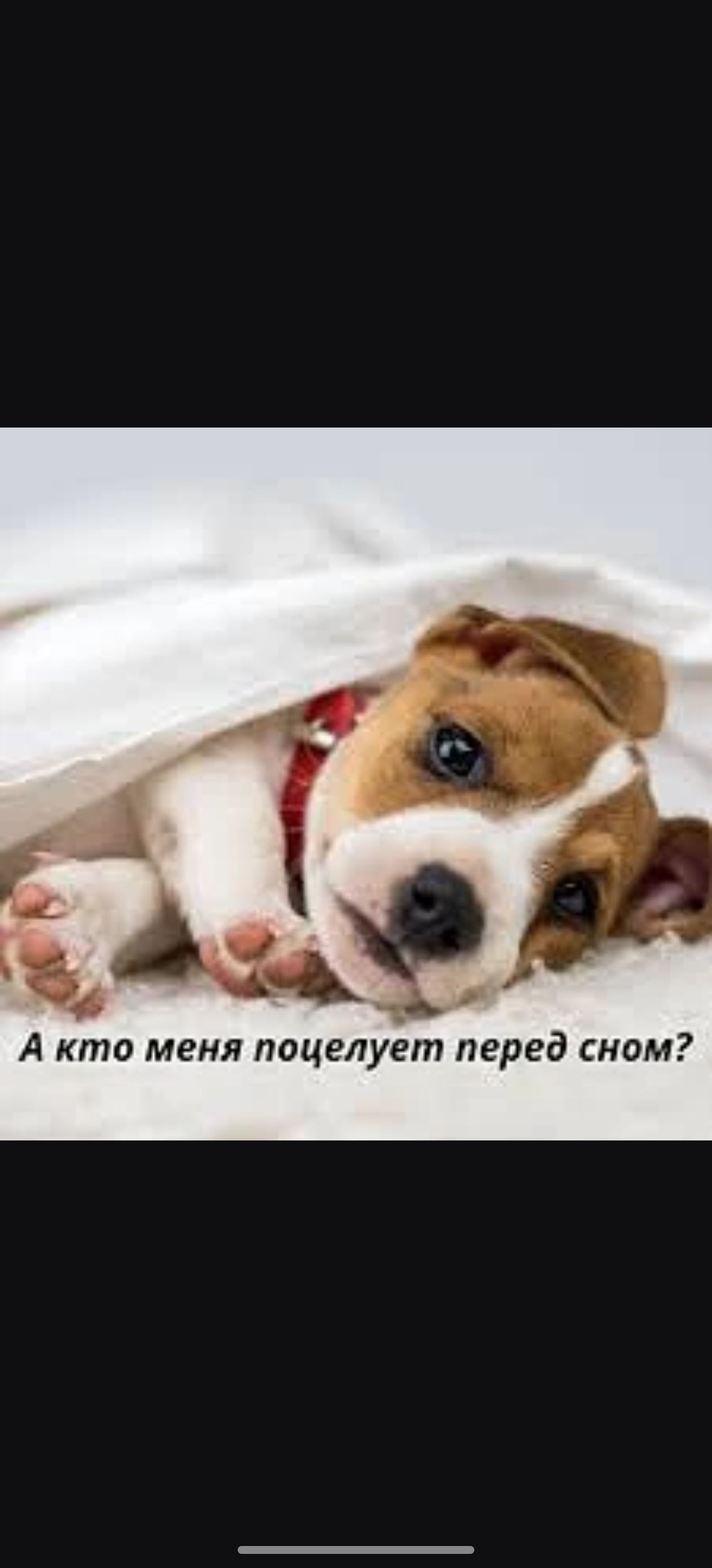 А кто меня поцелует перед сном?