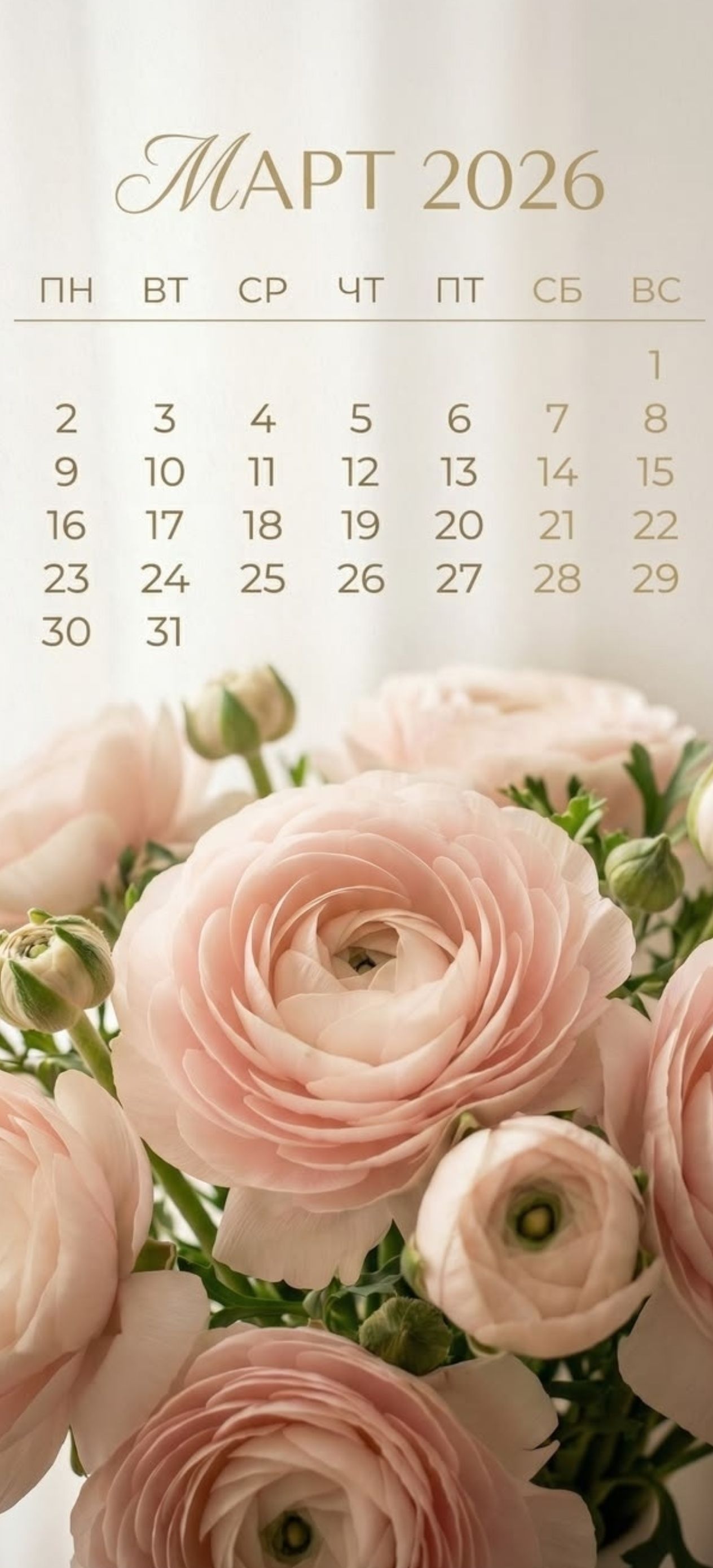 МАРТ 2026 ПН ВТ СР ЧТ ПТ СБ ВС 1 2 3 4 5 6 7 8 9 10 11 12 13 14 15 16 17 18 19 20 21 22 23 24 25 26 27 28 29 30 31