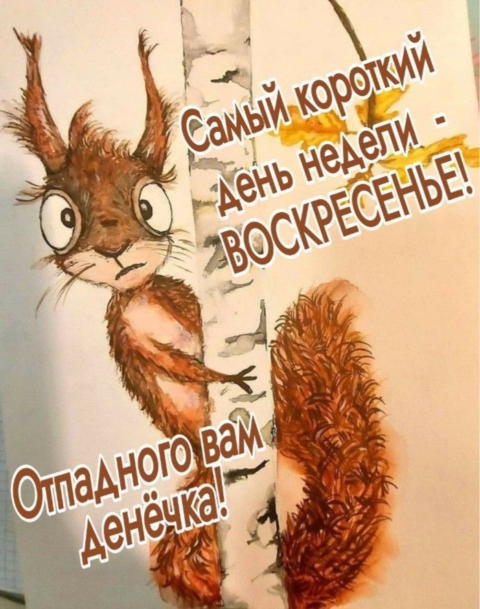 Самый короткий день недели - ВОСКРЕСЕНЬЕ!
Отпадного вам денёчка!