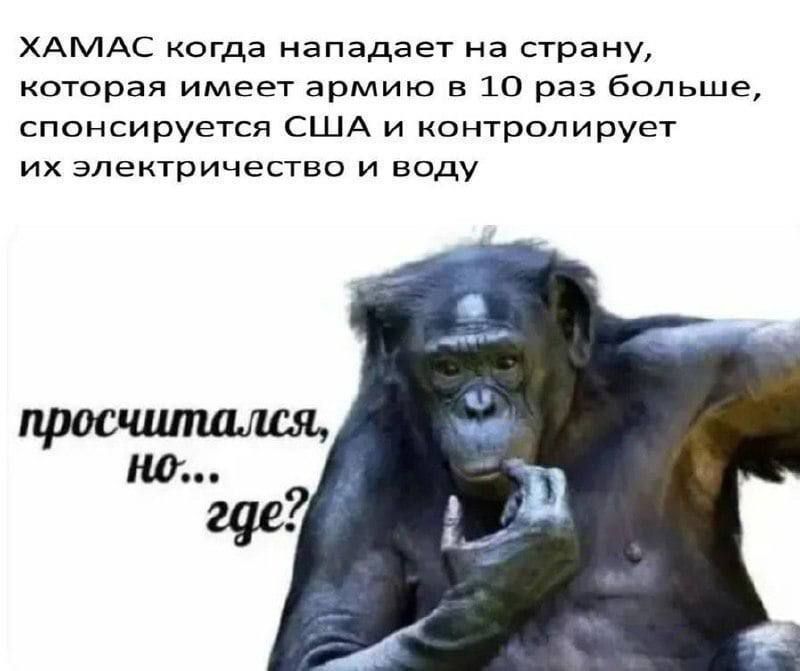 ХАМАС когда нападает на страну, которая имеет армию в 10 раз больше, спонсируется США и контролирует их электричество и воду
проснулся, но... где?