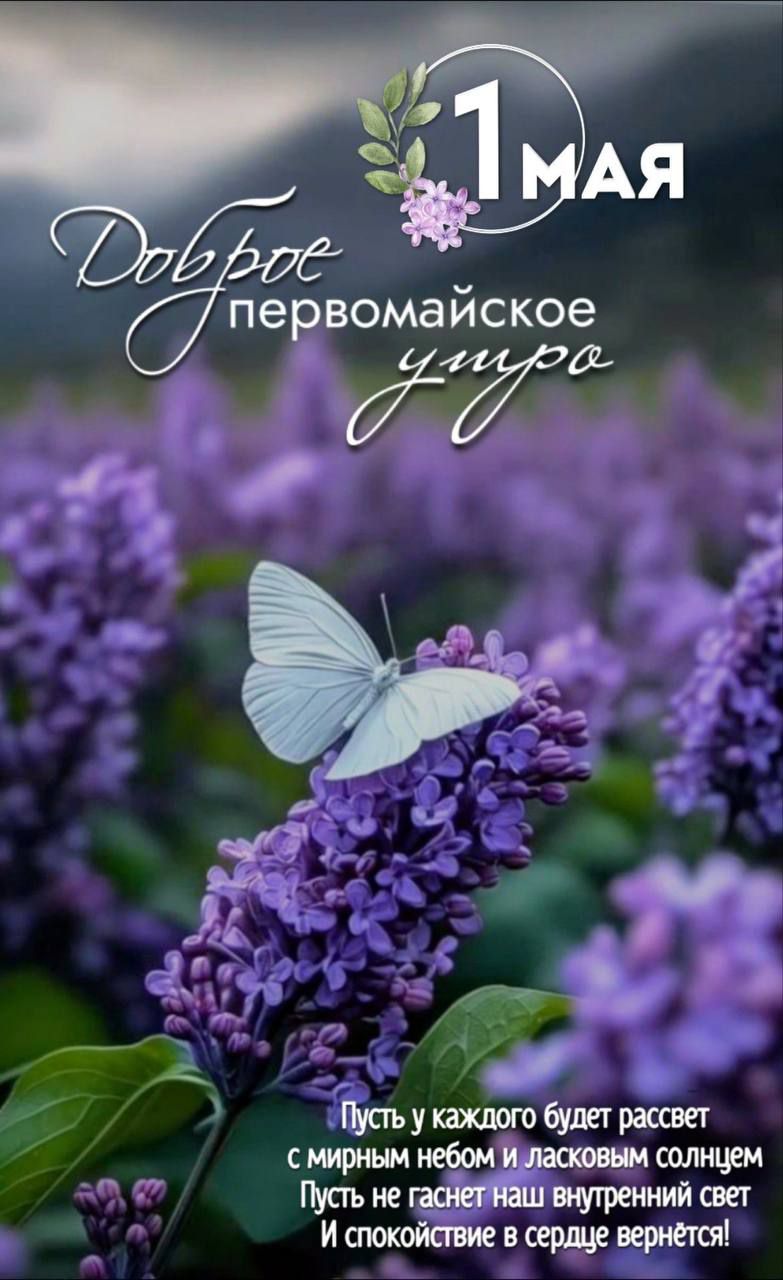 1 мая
Доброе первомаевское утро
Пусть у каждого будет рассвет с мирным небом и ласковым солнцем
Пусть не гаснет наш внутренний свет
И спокойствие в сердце вернётся!