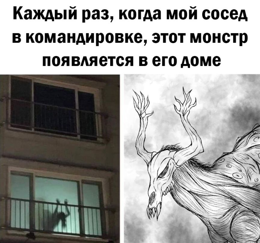 Каждый раз, когда мой сосед в командировке, этот монстр появляется в его доме