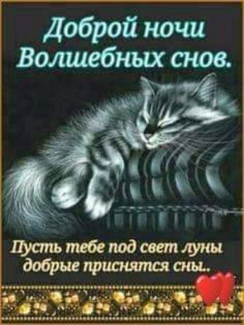 Доброй ночи Волшебных снов.
Пусть тебе под свет луны добрые приснятся сны.