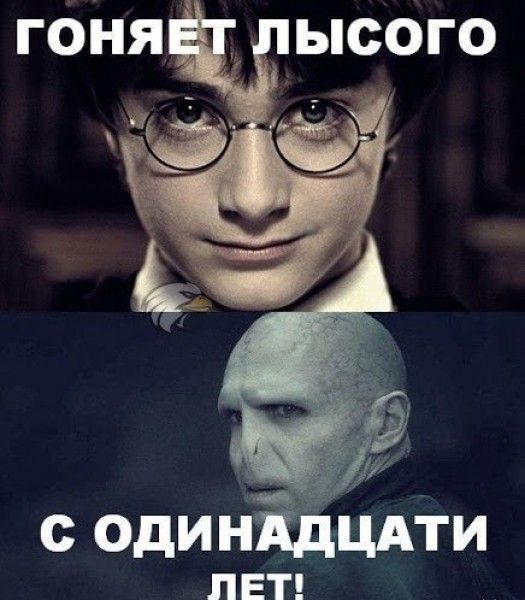 Гоняет лысого с одиннадцати лет!