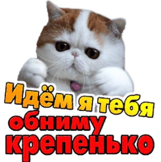 Идём я тебя обниму крепенько