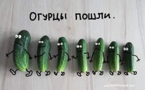 Огурцы пошли.