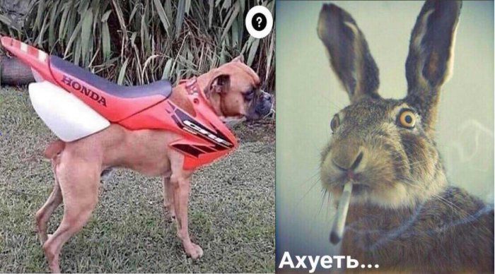 Ахуеть...