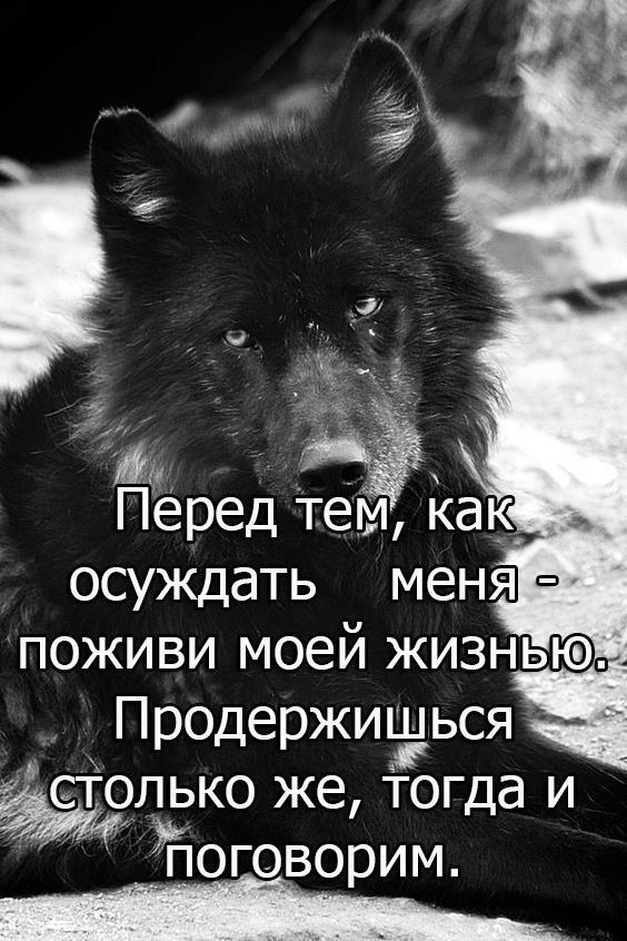Перед тем, как осуждать меня - поживи моей жизнью. Продержишься столько же, тогда и поговорим.