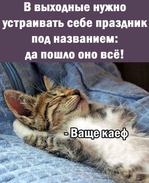 В выходные нужно устраивать себе праздник под названием: да пошло оно всё!
- Ваше кайф