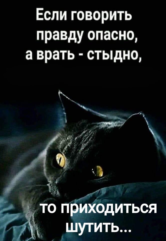 Если говорить правду опасно, а врать - стыдно, то приходится шутить...
