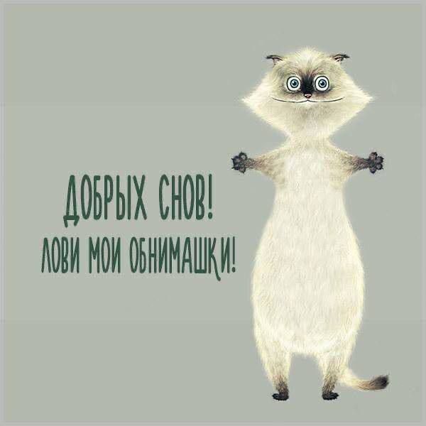 ДОБРЫХ СНОВ! ЛОВИ МОИ ОБНИМАШКИ!