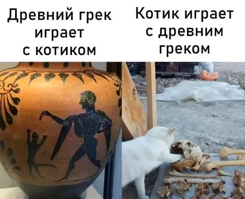 Древний грек играет с котиком
Котик играет с древним греком