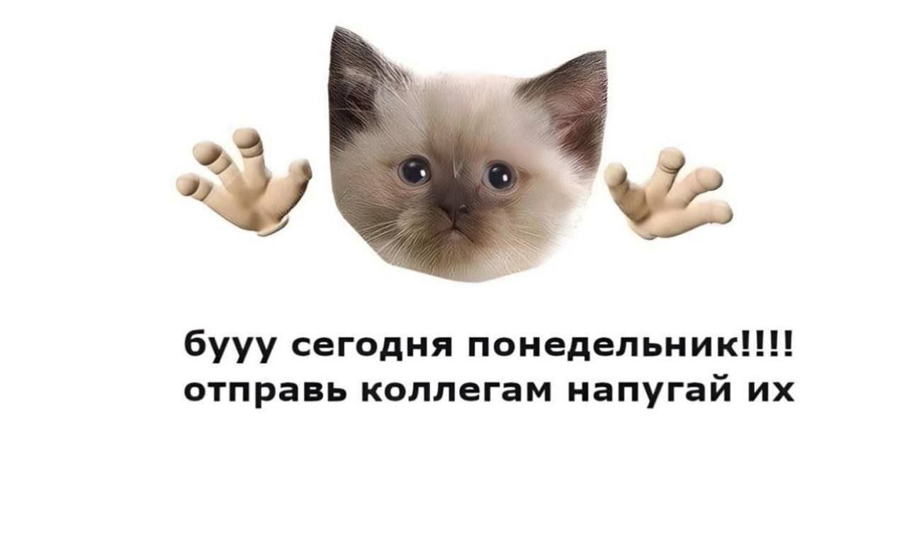 бууу сегодня понедельник!!!! отправь коллегам напугай их