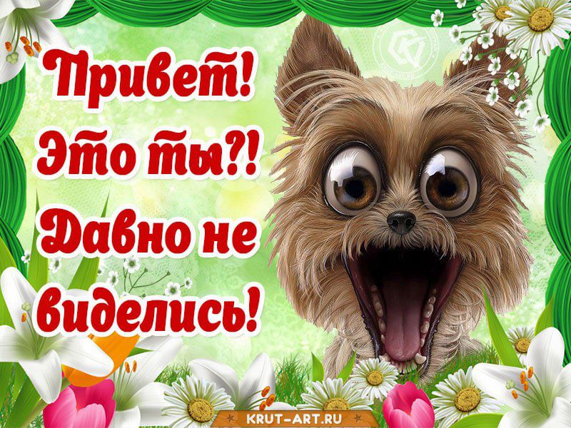 Привет! Это ты?! Давно не виделись!