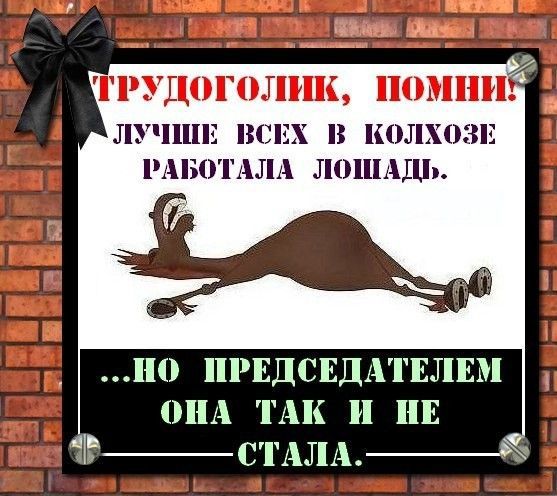 ТРУДОГОЛИК, ПОМНИ! ЛУЧШЕ ВСЕХ В КОЛХОЗЕ РАБОТАЛА ЛОШАДЬ. ...НО ПРЕДСЕДАТЕЛЕМ ОНА ТАК И НЕ СТАЛА.