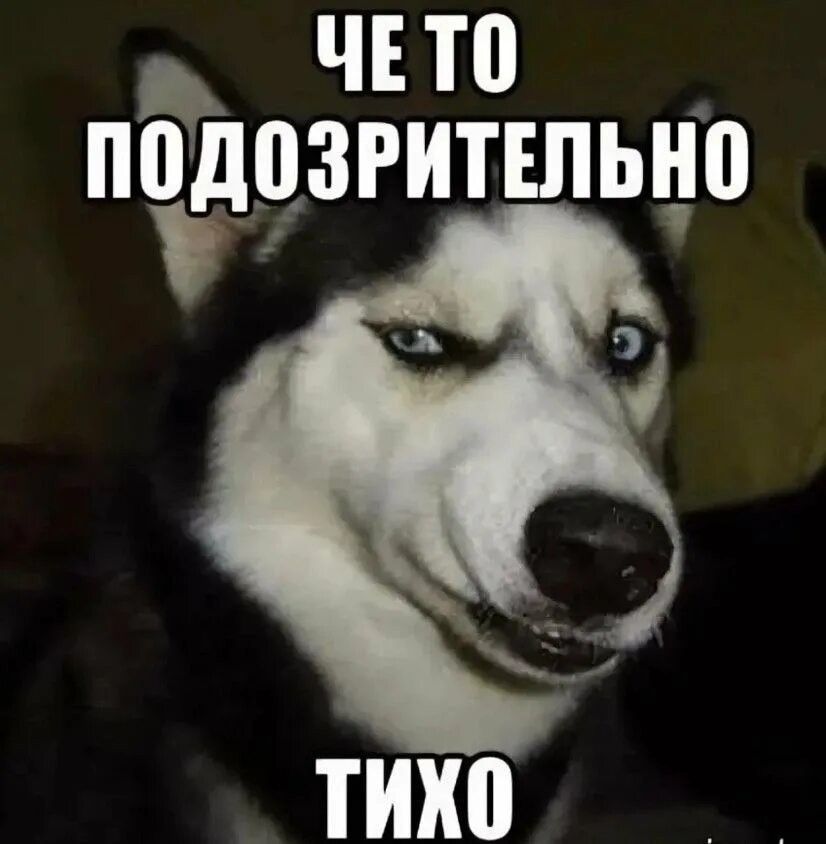 ЧЕ ТО ПОДОЗРИТЕЛЬНО ТИХО