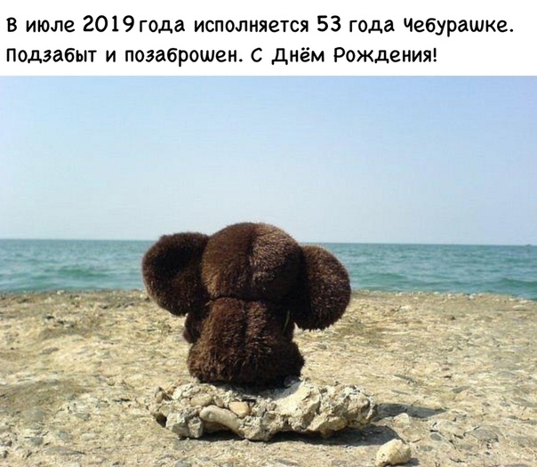В июле 2019года исполняется 53 года Чебурашка подзабыт и поэаброшен С днём Рождениж